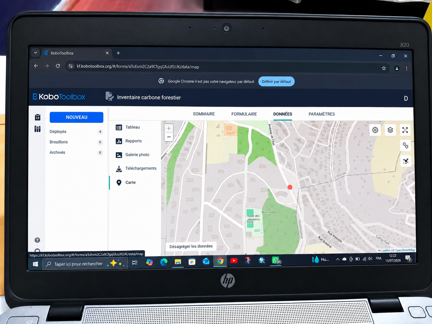 GEEC SARL renforce les compétences en analyse des données et en cartographie SIG dans le cadre des stages académiques d'immersion professionnelle au Jardin Botanique de Kisantu,